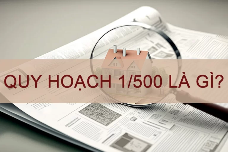 quy-hoach-1-500-la-gi