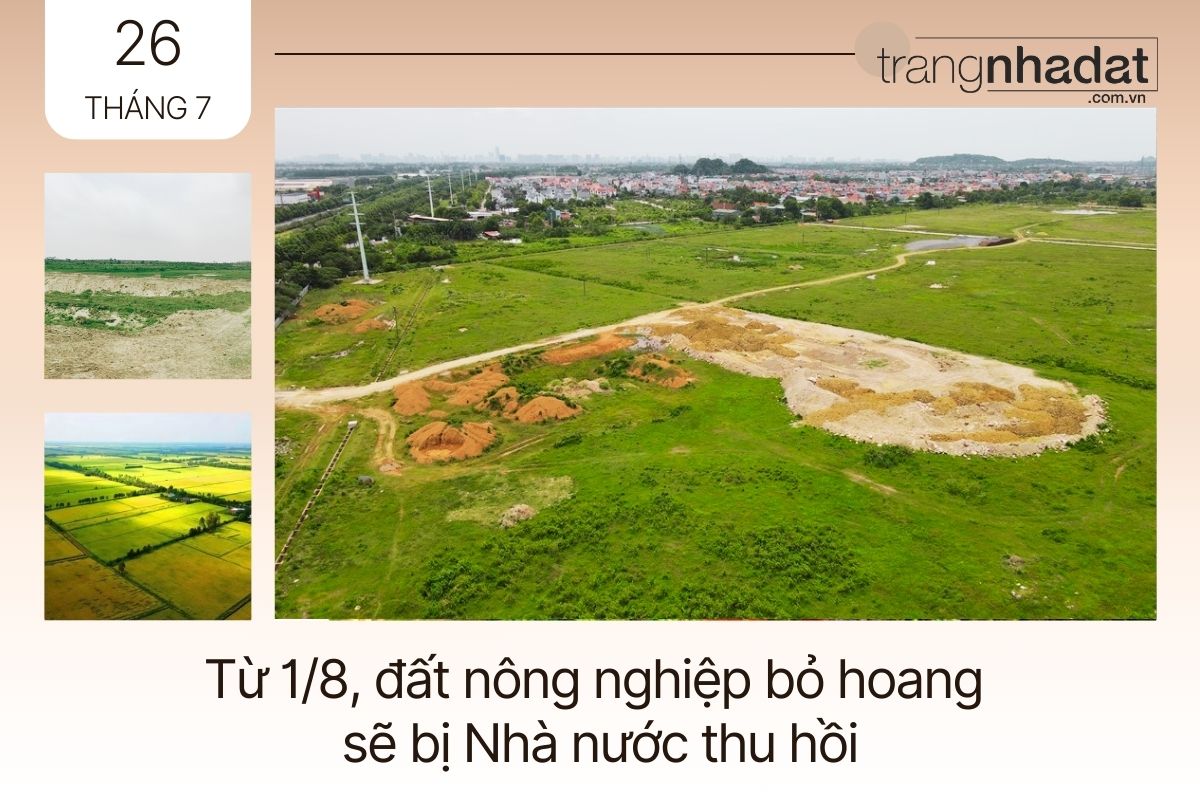 Từ 1/8, đất nông nghiệp bỏ hoang sẽ bị Nhà nước thu hồi