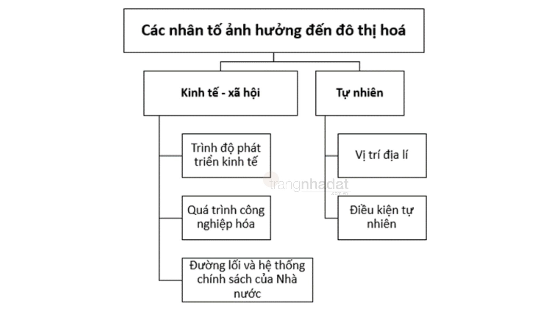 Các nhân tố ảnh hưởng đến đô thị hóa