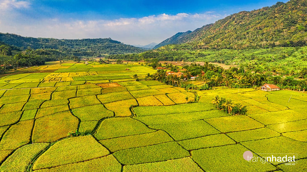 Có nên mua đất ONT?