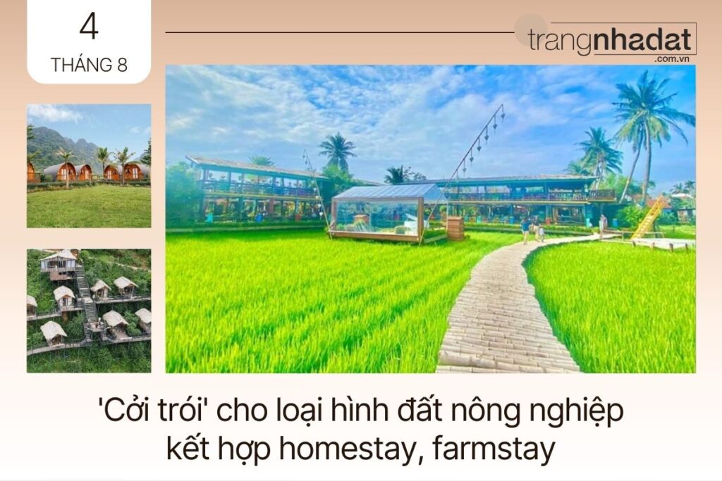 Cởi trói cho loại hình đất nông nghiệp kết hợp homestay, farmstay