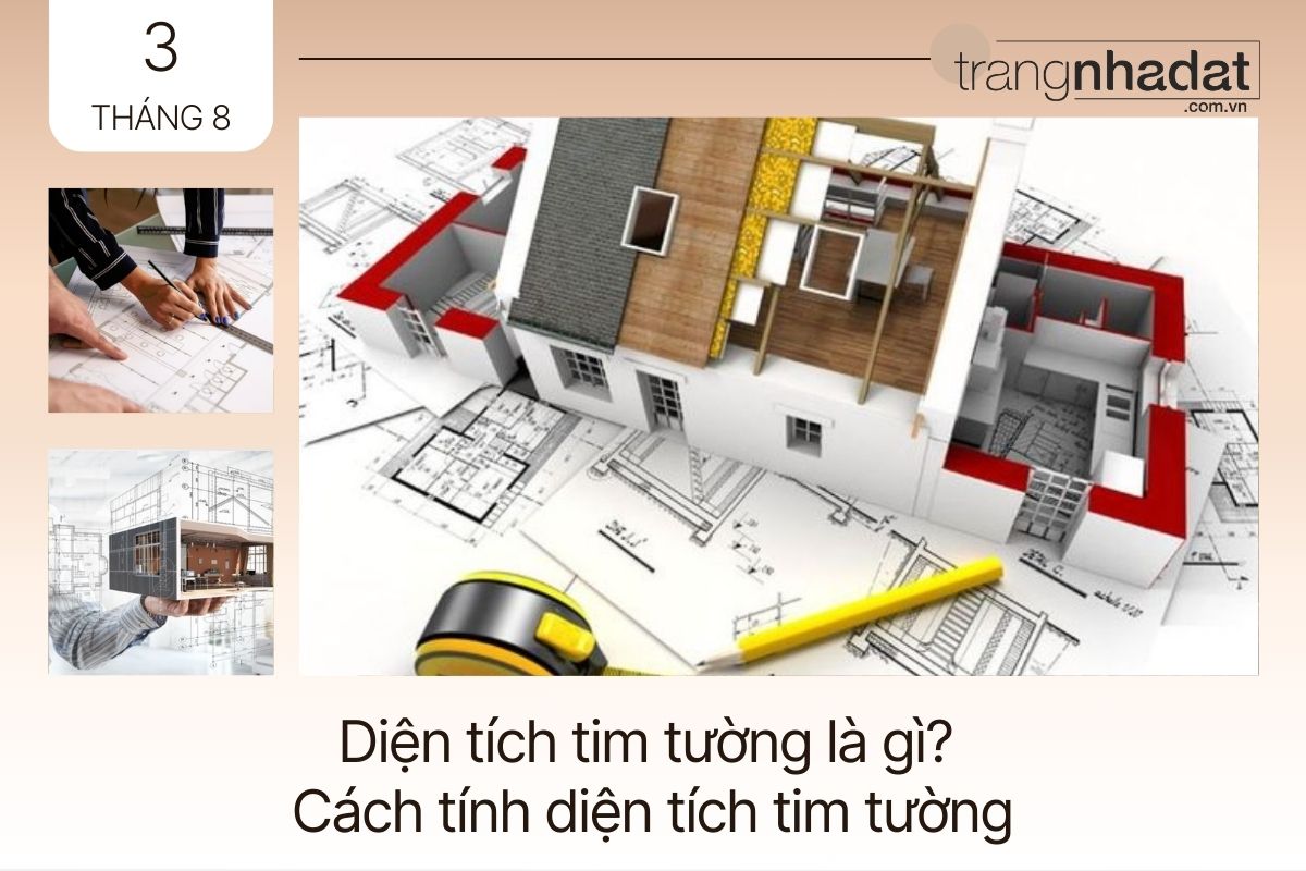 Diện tích tim tường là gì?