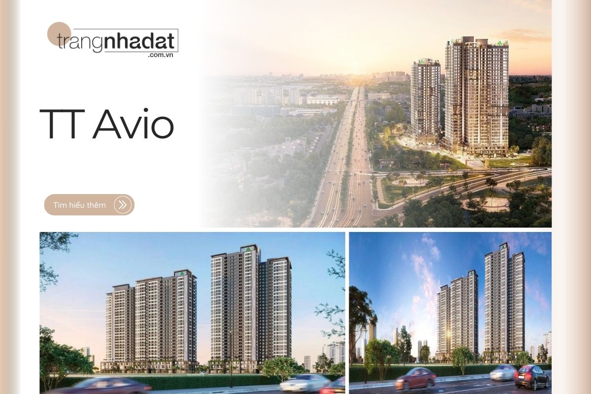 Dự án TT Avio