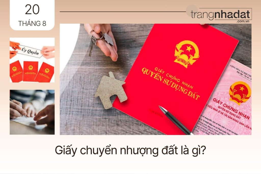 Giấy chuyển nhượng đất là gì (1)