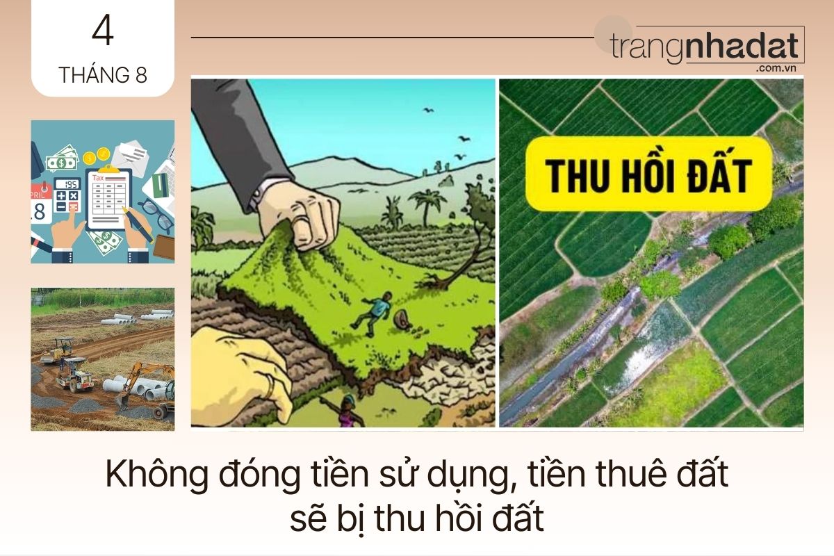 Không đóng tiền sử dụng, tiền thuê đất sẽ bị thu hồi đất