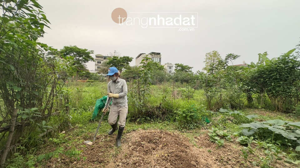 Những lưu ý khi chuyển đổi đất LNC thành thổ cư