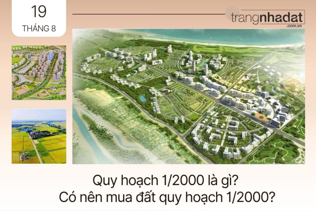 Quy hoạch 12000 là gì?