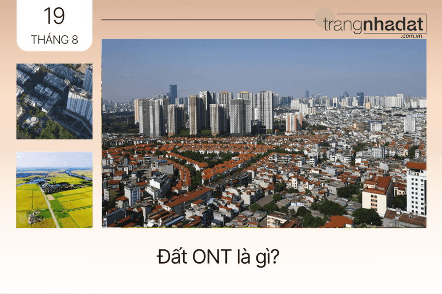 Đất ODT là gì?